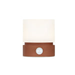 Portable Bedroom Mood Light with Timer